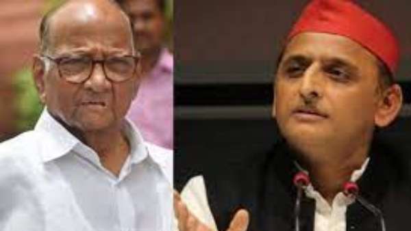 NCP and SP fight together in Uttar Pradesh Polls to defeat bjp NCP and SP fight together in Uttar Pradesh Polls to defeat bjp