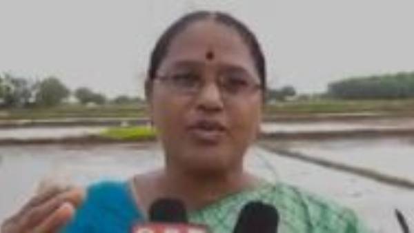 తంబాకు, బ్రాండీతో ఆదాయం..