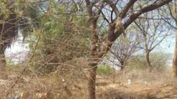 కోడలు లేడీస్ టైలర్