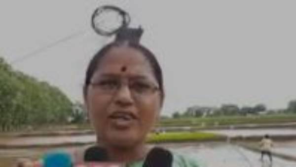 తడిబట్టతో గొంతు కోశావు