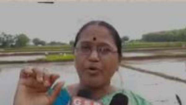 దండం పెడితే పైసలు ఇస్తాం..