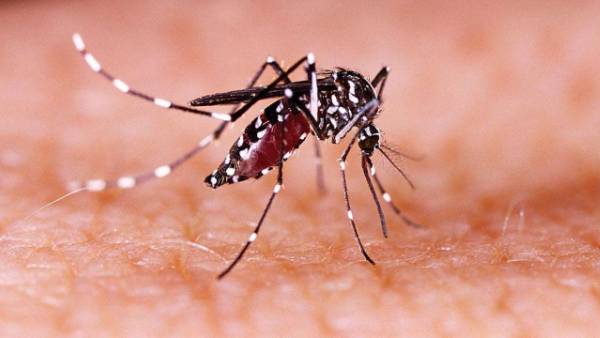 Zika virus: Karnataka govt has issued guidelines to prevent and control the spread Zika virus: Karnataka govt has issued guidelines to prevent and control the spread
