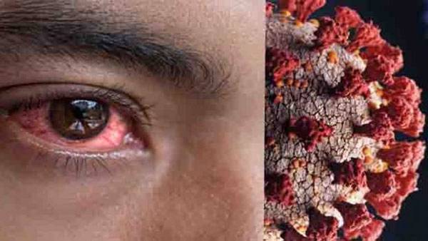 బాధిత కుటుంబాల ఆవేదన.. ప్రభుత్వానికి వేడుకోలు