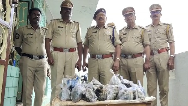 ప్రకాశం జిల్లాలో 24 లక్షల విలువైన గంజాయిని పట్టుకున్న పోలీసులు