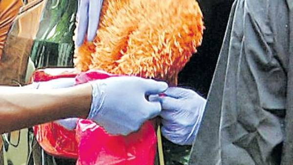 కోగంటి సత్యం పాత్రపై అనుమానాలు...