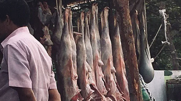 హైదరాబాద్లో భారీగా పెరిగిన చికెన్ ధరలు