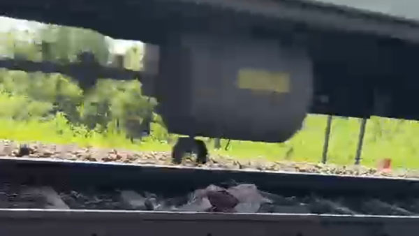 పోలీసు బృందాలు..