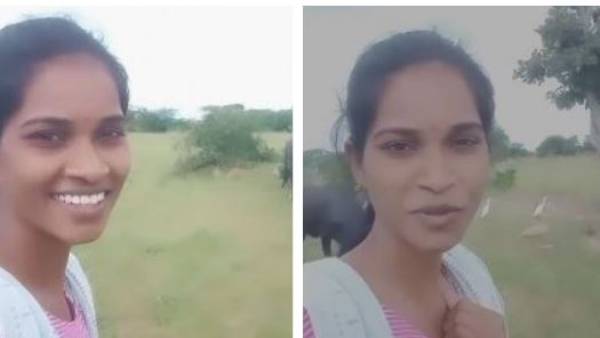 ప్రైవేట్ సెక్టార్ ఇలా..