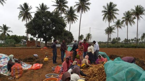 Anantapur: Flipkart, Farmer Producer Organisations tie up to facilitate market access Anantapur: Flipkart, Farmer Producer Organisations tie up to facilitate market access