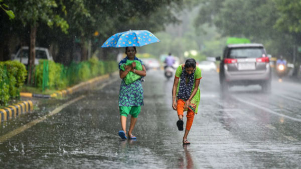లా నినా, డై పోల్
