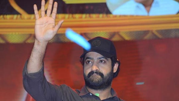జూనియర్ రంగంలోకి ఖాయమేనా