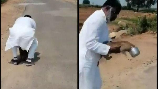 చిరుతపులి పిల్ల