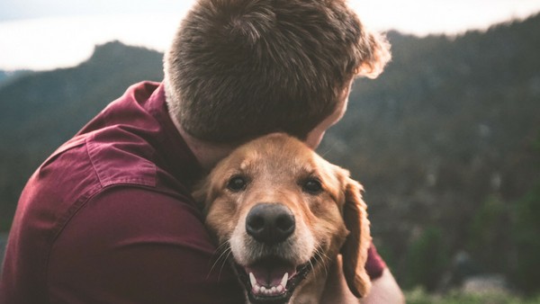 Is it good to raise Pets at home, what does Vaastu speak about pets, know here Is it good to raise Pets at home, what does Vaastu speak about pets, know here