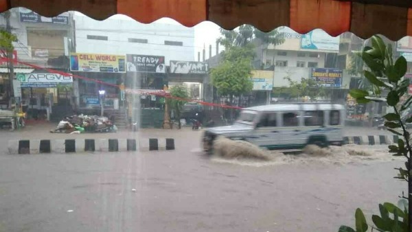 rain effect:two bulls Washed away river, died rain effect:two bulls Washed away river, died