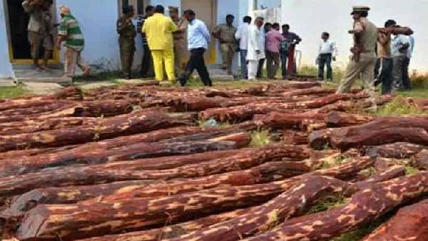 Most Wanted international red sandalwood smuggler Ramanatha Reddy caught by police Most Wanted international red sandalwood smuggler Ramanatha Reddy caught by police