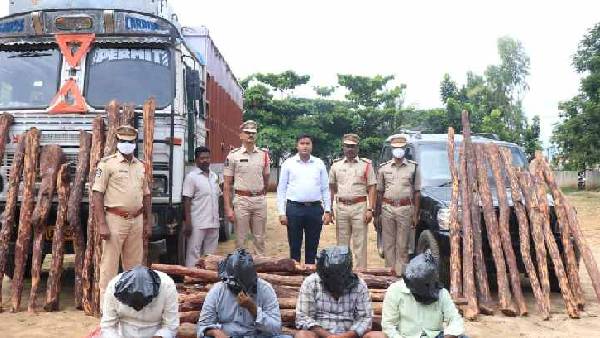 Most Wanted international red sandalwood smuggler Ramanatha Reddy caught by police Most Wanted international red sandalwood smuggler Ramanatha Reddy caught by police