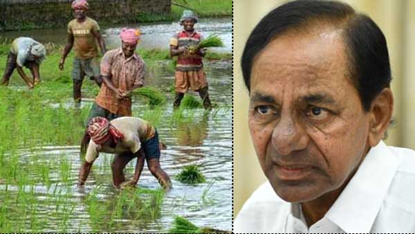 కనికరించని కేంద్రం..