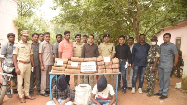 వరంగల్ లోనూ గంజాయి స్మగ్లర్ల ముఠాను పట్టుకున్న పోలీసులు
