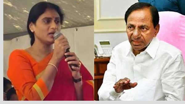 ఆత్మహత్యలు లేని రోజు ఎప్పుడు?