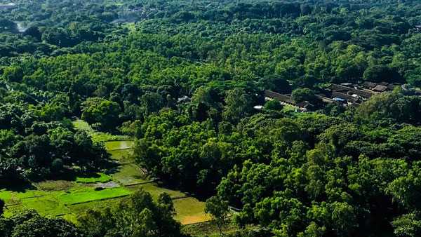 forest green cover increased hyderabad city. after delhi and bangalore cities placed. forest green cover increased hyderabad city. after delhi and bangalore cities placed.