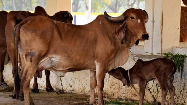ఆ రోజు ఏం జరిగిందంటే ?