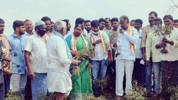 రాష్ట్ర వ్యాప్తంగా దిక్కుతోచని స్థితిలో రైతులు..రైతు సంబురాలు ఆపాలన్న సీతక్క