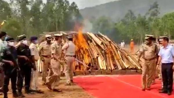 ap police burnt 2 lakh kgs seized ganja in visakhapatnam agency amid smuggling row ap police burnt 2 lakh kgs seized ganja in visakhapatnam agency amid smuggling row