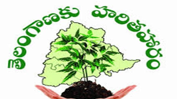 హరితహారం సమర్ధంగా అమలు కోసమే హరిత నిధి