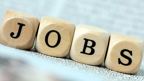 spdcl releases notification for 1201 JL, sub engineer recruitment spdcl releases notification for 1201 JL, sub engineer recruitment