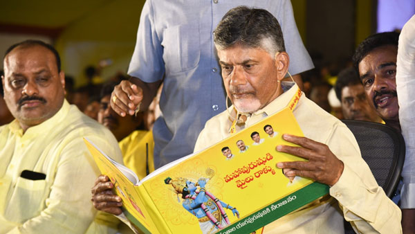 మహానాడు సక్సెస్ వెనుక