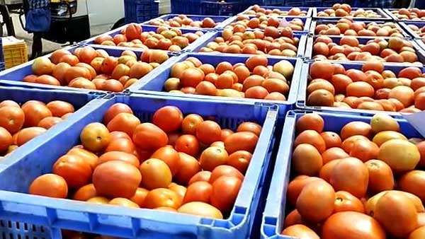 పెరిగిన ధరలతో సామాన్యుల బతుకు భారం