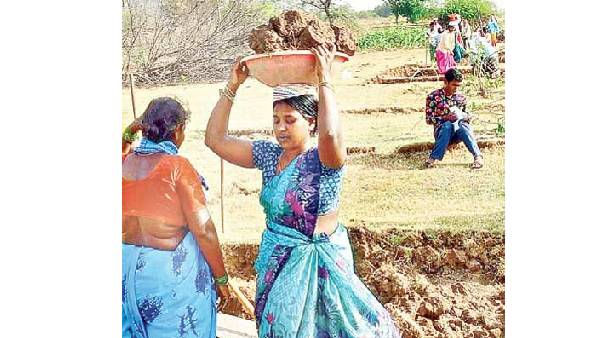 హన్మకొండ జిల్లా విశ్వనాథ కాలనీ గ్రామ సర్పంచి ఉపాధి కూలీగా