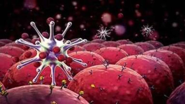 Dostarlimab: Cancer vanishes in drug trial, doctors’ says first time in history of medical Dostarlimab: Cancer vanishes in drug trial, doctors’ says first time in history of medical