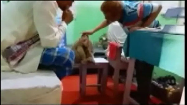 బిడ్డను తీసుకొని వచ్చిన కోతి..