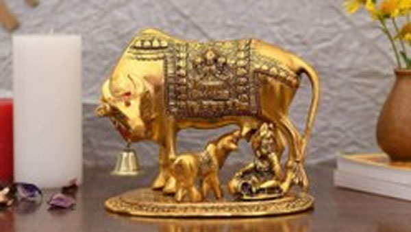 వెండి, ఇత్తడి, రాగి , పాలరాయి, సిరామిక్ విగ్రహం ఏదైనా ఫలితం మాత్రం అద్భుతం