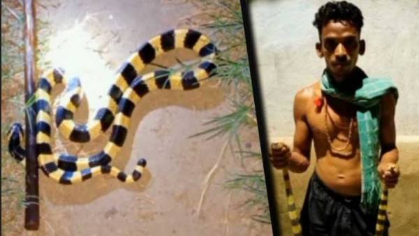  Rana: ఇంట్లో పాములు, ఊసరవెళ్లిలు పెంచుకున్న రాణా, అటవి శాఖ ఎంట్రీ, లక్ష మంది సబ్ స్క్రైబర్స్ !