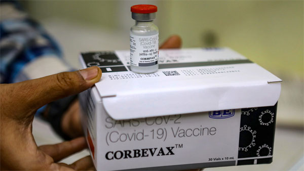 central Govt Approves Biological E’s Corbevax As Booster Dose For Adults Vaccinated With Covaxin, Covishield central Govt Approves Biological E’s Corbevax As Booster Dose For Adults Vaccinated With Covaxin, Covishield