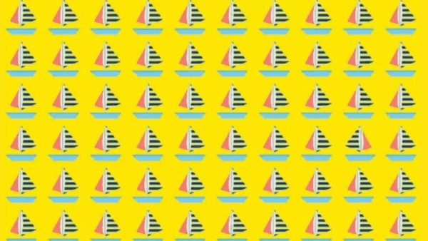 Find It: మీ కళ్లకు పరీక్ష.. ఈ ఫొటోలో తేడా ఏముందో 11 సెకన్లలో చెప్పాలి..