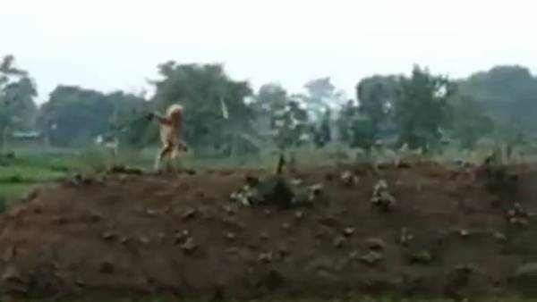 Viral Video: కోతి చేసిన పని చూస్తే షాక్ అవుతారు.. వైరల్ అయిన వీడియో..