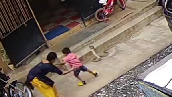 viral video:కాలనాగుపై కాలు వేయబోయి, పడగతీసిన సర్పం, వాయువేగంతో స్పందించిన తల్లి