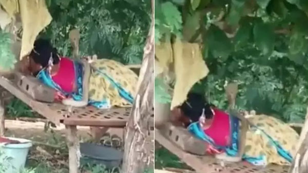 Viral Video: మహిళ పైకి వచ్చిన నాగుపాము.. వీడియో వైరల్..