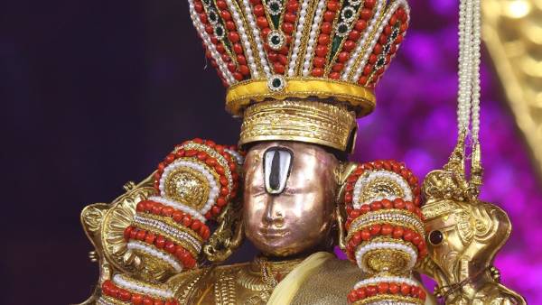 చెన్నై నిపుణులు