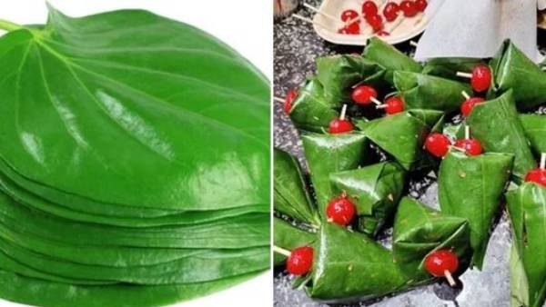 Betel leaf: భోజనం తర్వాత తమలపాకు తీసుకుంటున్నారా..  అయితే ఇవి తెలుసుకోవాల్సిందే..