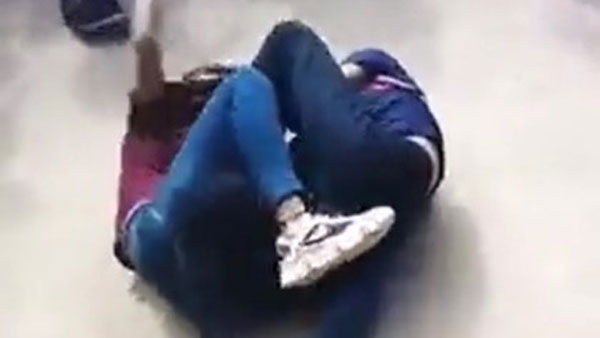 Viral Video: వామ్మో ఈ ఫైటింగ్ ఎందిరా నాయనా.. వైరల్ అయిన వీడియో..