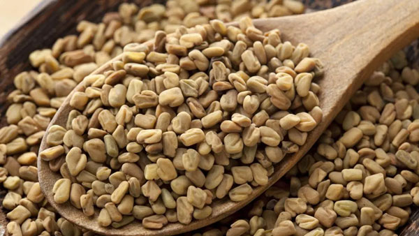 Fenugreek Benefits: మీకు షుగర్ ఉందా.. అయితే మెంతి తీసుకోండి..!