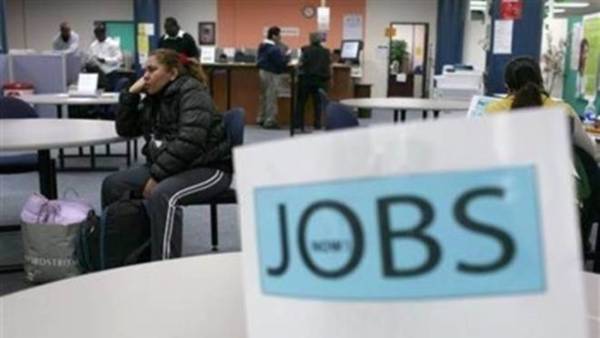 తెలంగాణలో మరో నోటిఫికేషన్ విడుదల: 175 పోస్టుల కోసం అప్లై చేయండి