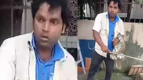 Viral Video: సెంట్రల్ ముంబైలో కొండచిలువ హల్ చల్.. వీడియో వైరల్..