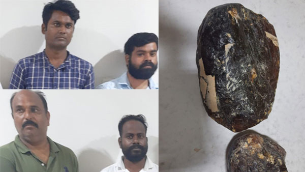 10కోట్ల విలువైన తిమింగలం వాంతి స్మగ్లింగ్ ముఠా అరెస్ట్; తిమింగలం వాంతికింత డిమాండ్ ఎందుకంటే..