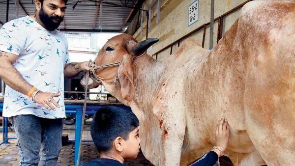 వ్యాధి సోకిన పశువుల విషయంలో జాగ్రత్తలు అవసరం