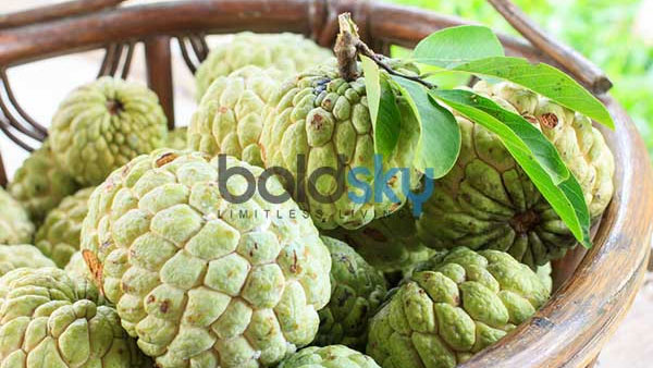 సీతాఫలాలు తింటే నో డిప్రెషన్